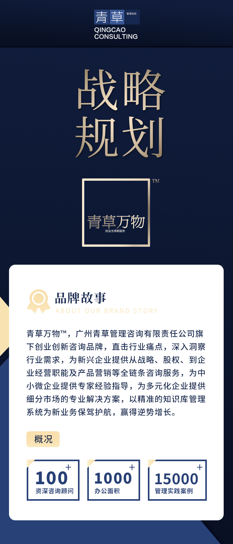 战略规划 (1).jpg